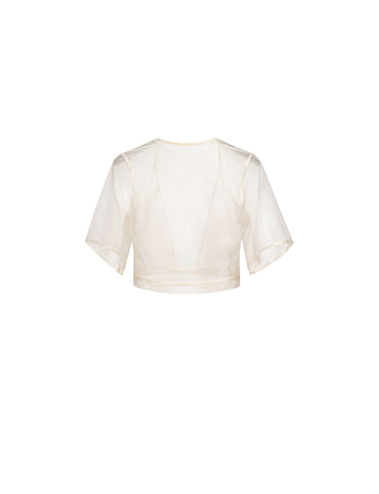 Sheer Organza Layering Top